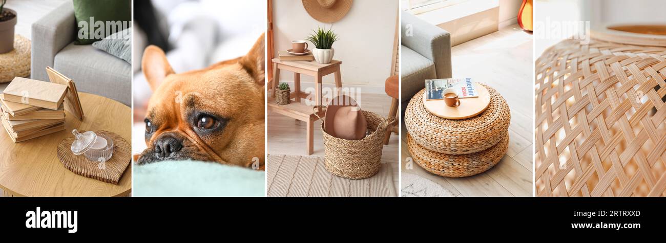 Collage di eleganti mobili in rattan, cesto e grazioso bulldog francese Foto Stock