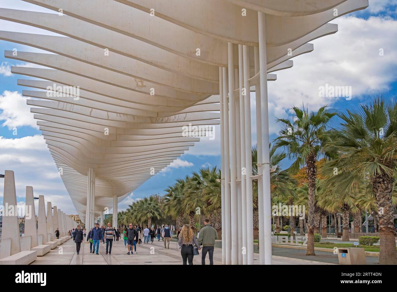 Paseo del Muelle Dos, con il Palmeral de las sorpresas, passeggiata al porto, Malaga, Andalusia Spagna Foto Stock