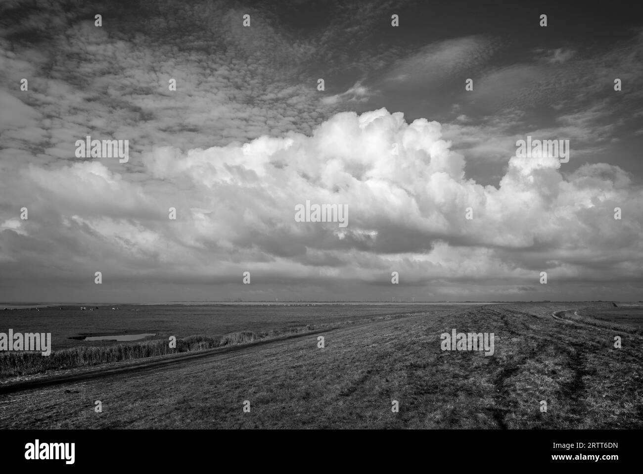 Mare del Nord, dighe nei pressi di Cuxhaven Foto Stock