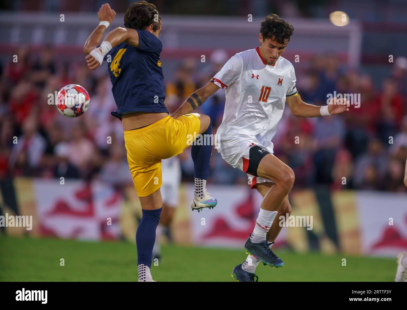 COLLEGE PARK, Maryland, USA - 14 settembre 2023: Durante una partita di calcio universitaria Big Ten tra l'Università del Maryland e l'Università del Michigan il 14 settembre 2023, a Ludwig Field, a College Park, Maryland. (Foto di Tony Quinn-Alamy Live News) Foto Stock