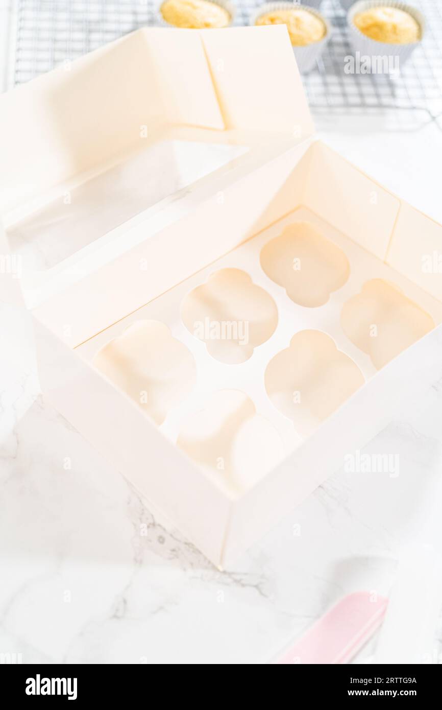 Creare stravaganti Cupcakes per festeggiare il compleanno Foto Stock