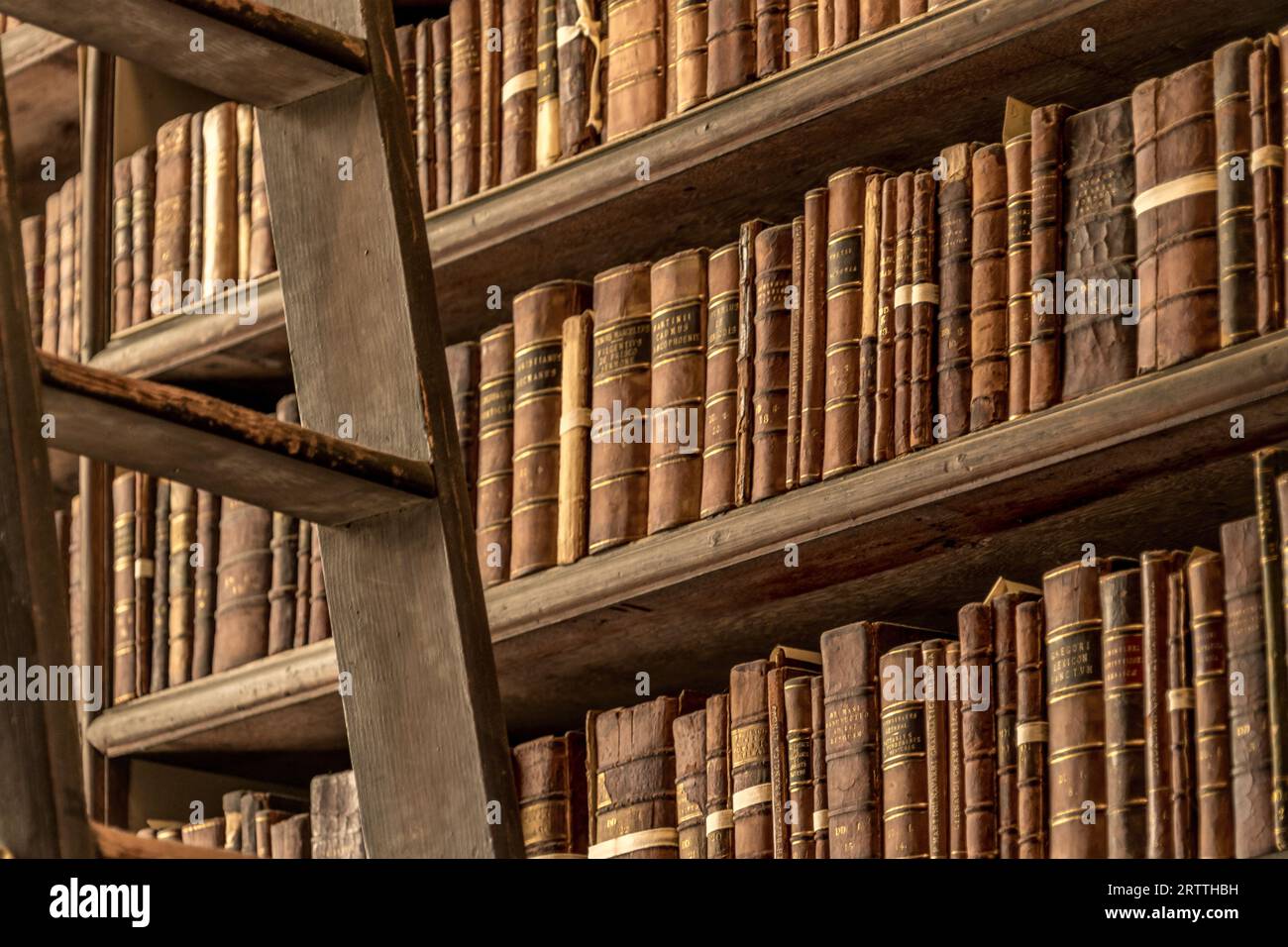 Scaffali in legno nella classica biblioteca del Trinity College di Dublino pieni di vecchie pubblicazioni universitarie lungo una scala in legno Foto Stock