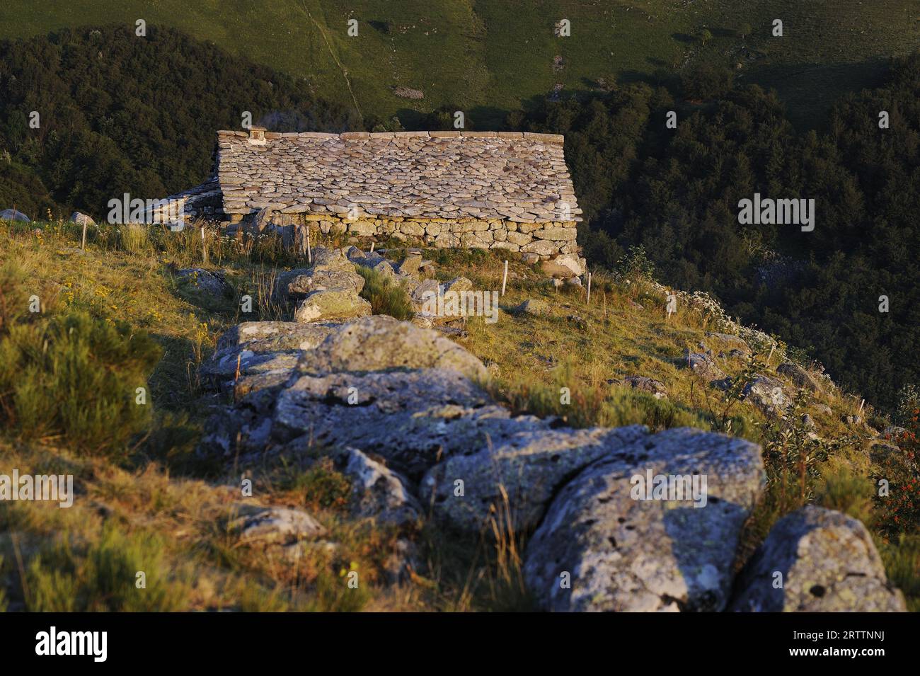 FRANCIA, CANTAL (15) AUVERGNE, BURON DI NIERCOMBE Foto Stock
