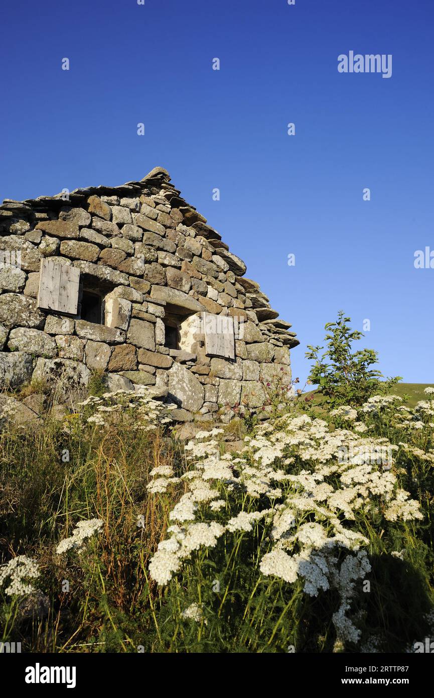 FRANCIA, CANTAL (15) AUVERGNE, BURON DI NIERCOMBE Foto Stock