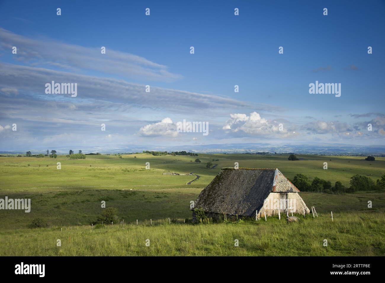 FRANCIA, CANTAL (15) AUVERGNE, PAILHEROLS, BURON Foto Stock