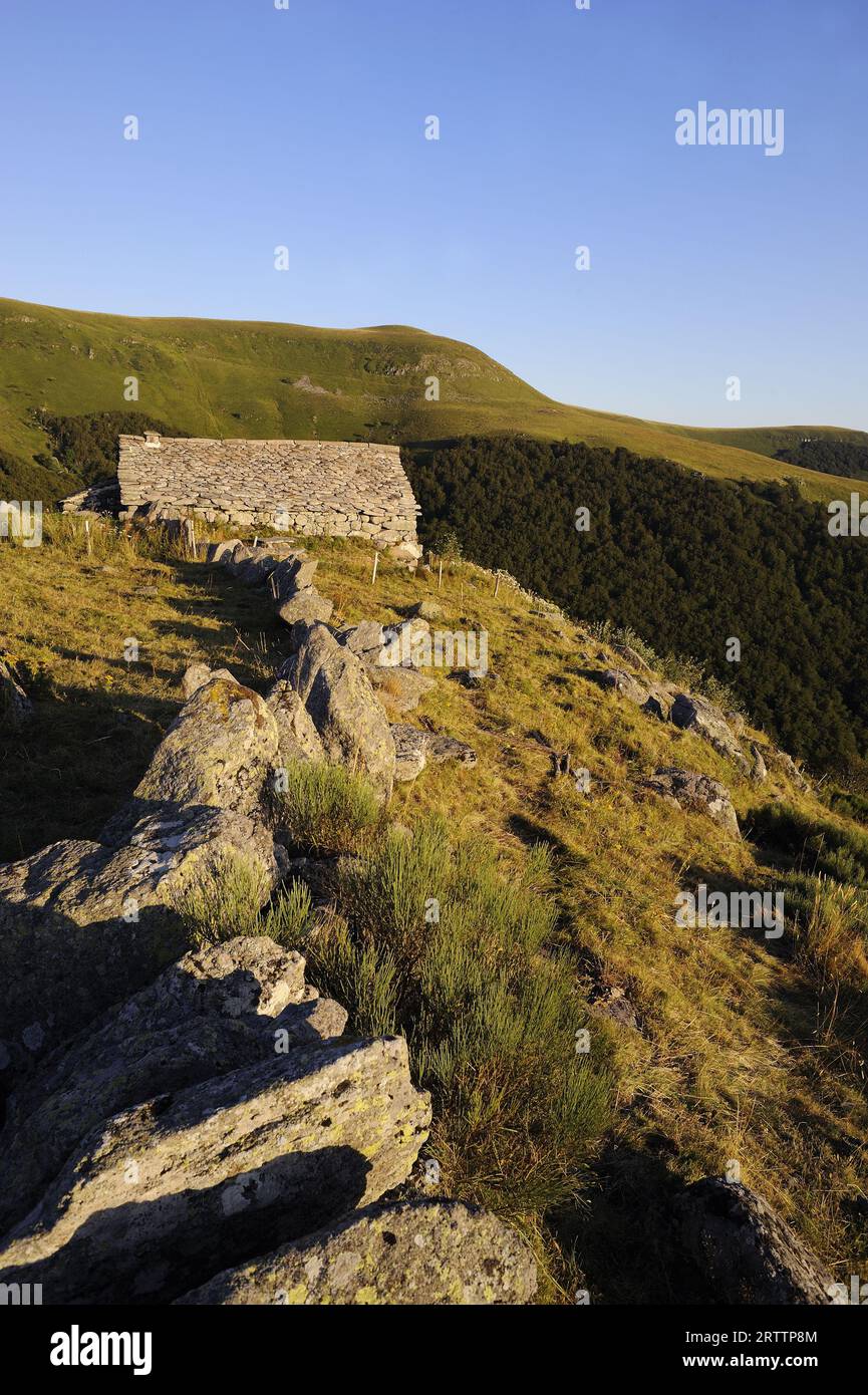 FRANCIA, CANTAL (15) AUVERGNE, BURON DI NIERCOMBE Foto Stock