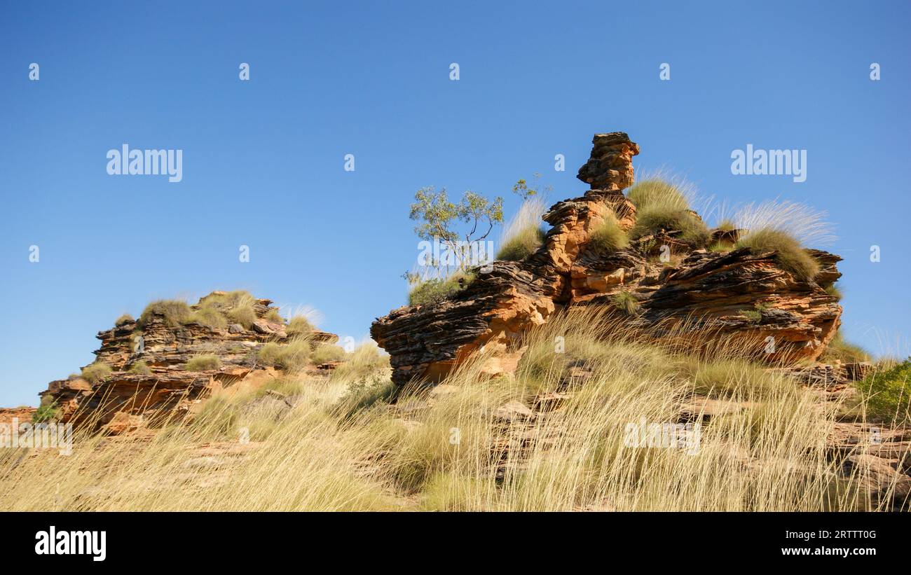 Cupole di alveare a strati colorati presso Mirima Hidden Valley, Mini Bungles della giungla, Kununurra, Australia Occidentale Foto Stock