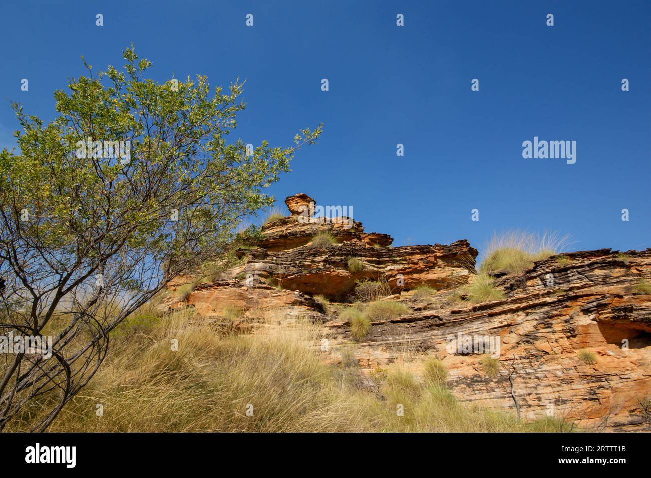 Cupola di Beehive, colorata formazione rocciosa a strati presso la Mirima Hidden Valley, Mini Bungles Bungle, Kununurra, Australia Occidentale Foto Stock