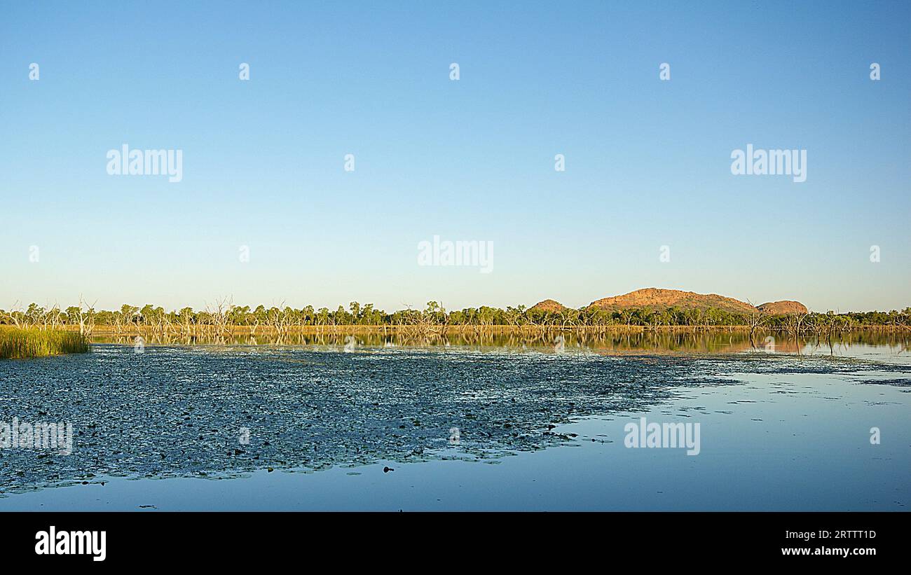 Vista serale sulla laguna di Lily Creek fino a Elephant Rock, Kununurra, Australia Occidentale Foto Stock