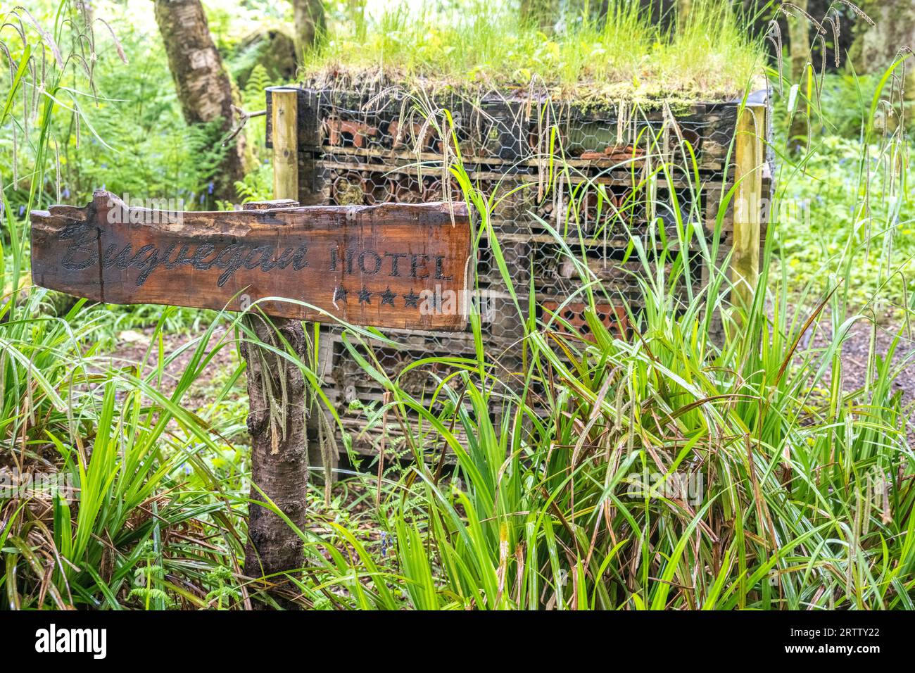 habitat di insetti realizzato per fornire protezione agli insetti utili per il giardino Foto Stock