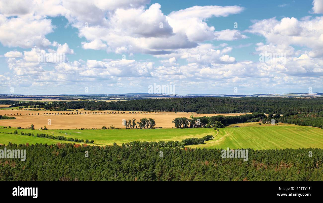 Vista del paesaggio agricolo in estate in Germania. Foto Stock