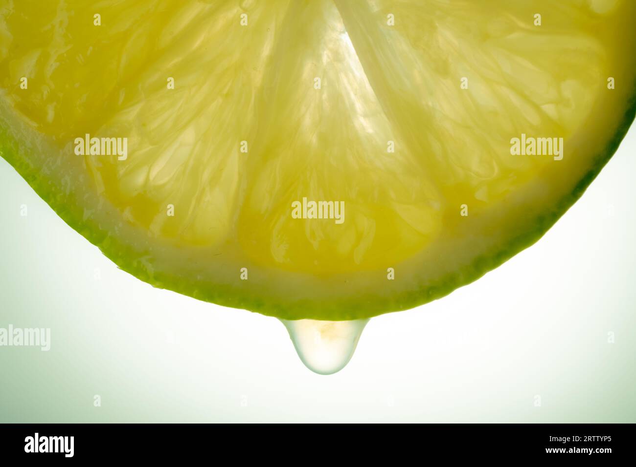 foto ravvicinata della fetta di limone con goccia di succo Foto Stock