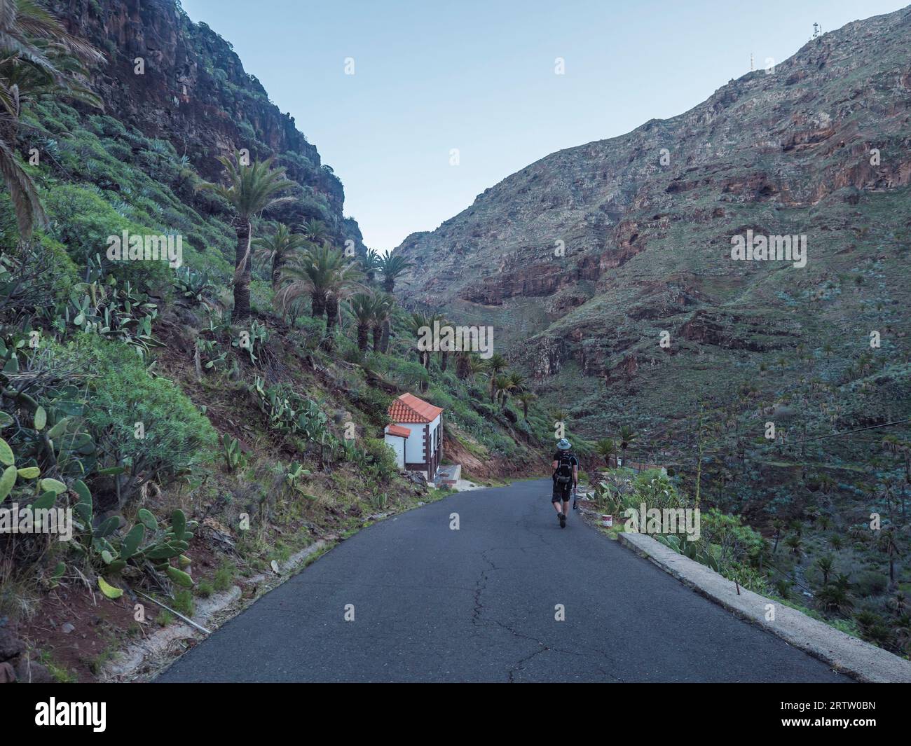 Uomo escursionista sulla strada del villaggio di Guarimiar. Al sentiero escursionistico attraverso la gola di Barranco de Guarimiar. Verdi pendii del canyon di montagna con palme e. Foto Stock