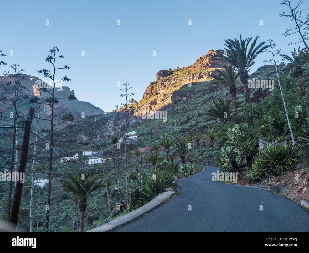 Strada tortuosa al villaggio di Guarimiar. Al sentiero escursionistico attraverso la gola di Barranco de Guarimiar. Verdi pendii del canyon di montagna con palme e succulente Foto Stock