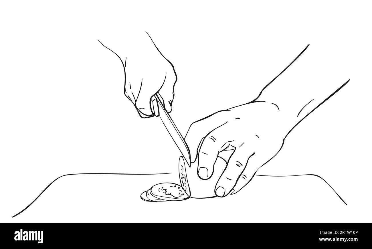 Mani ravvicinate che tagliano verdure con il coltello sul tagliere, disegno vettoriale, illustrazione disegnata a mano schizzo a inchiostro nero su sfondo bianco. Cottura f Illustrazione Vettoriale