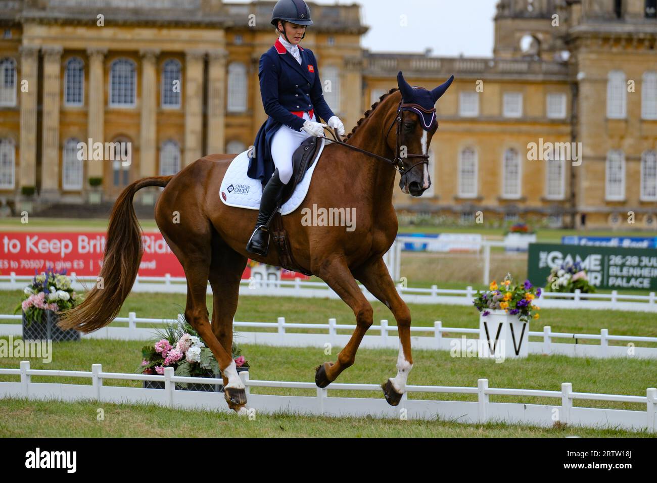 Blenheim Palace, Oxfordshire, UK.giovedì 14 ottobre 2023. Il giorno di apertura delle prove ippiche internazionali di Blenheim Palace è iniziato con Dressage. Dressage era un'idea militare per produrre supporti obbedienti, flessibili e reattivi che sarebbero stati migliori in battaglia. L'evento vedrà quattro giorni di eventi, tra cui Dressage, Cross Country e Showjumping, che si svolgono tutti nel Blenheim Palace. Crediti: Ian Tennant / Alamy Live News. Foto Stock