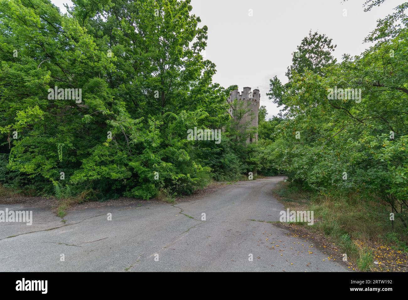 Resti della Slesia Windsor - Palazzo della Sibilla a Szczodre, Polonia. Foto Stock