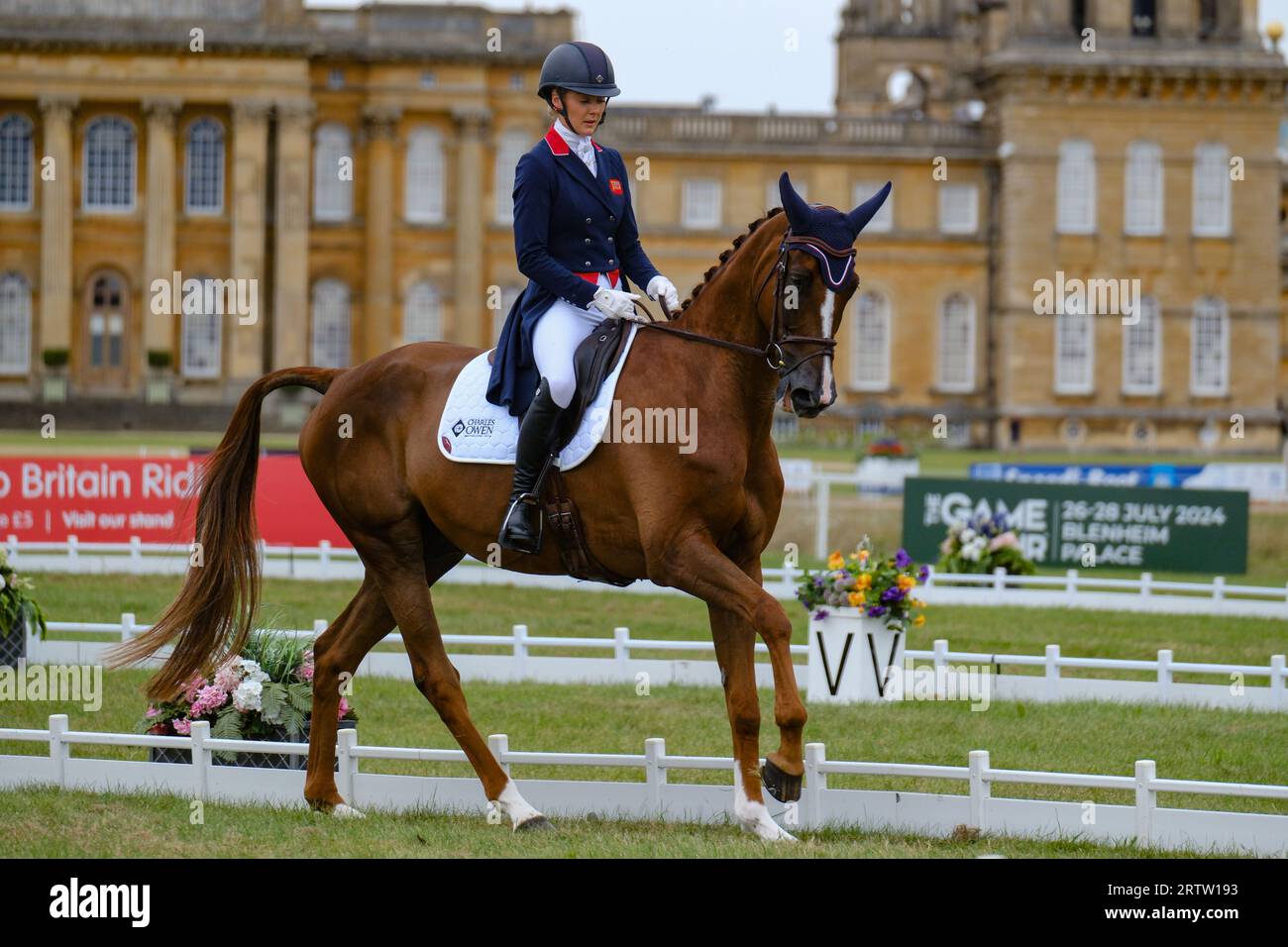 Blenheim Palace, Oxfordshire, UK.giovedì 14 ottobre 2023. Il giorno di apertura delle prove ippiche internazionali di Blenheim Palace è iniziato con Dressage. Dressage era un'idea militare per produrre supporti obbedienti, flessibili e reattivi che sarebbero stati migliori in battaglia. L'evento vedrà quattro giorni di eventi, tra cui Dressage, Cross Country e Showjumping, che si svolgono tutti nel Blenheim Palace. Crediti: Ian Tennant / Alamy Live News. Foto Stock