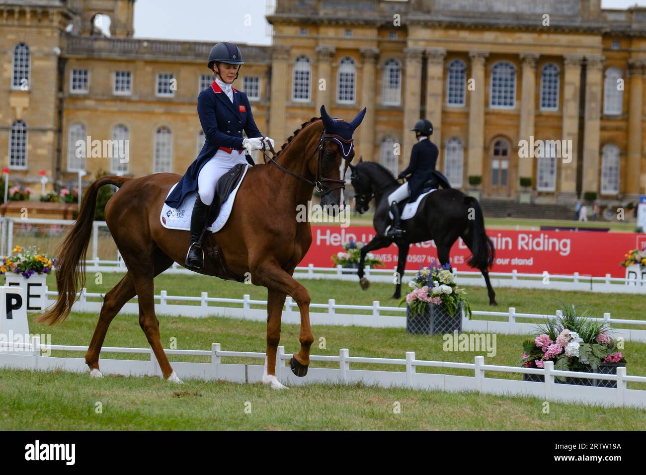 Blenheim Palace, Oxfordshire, UK.giovedì 14 ottobre 2023. Il giorno di apertura delle prove ippiche internazionali di Blenheim Palace è iniziato con Dressage. Dressage era un'idea militare per produrre supporti obbedienti, flessibili e reattivi che sarebbero stati migliori in battaglia. L'evento vedrà quattro giorni di eventi, tra cui Dressage, Cross Country e Showjumping, che si svolgono tutti nel Blenheim Palace. Crediti: Ian Tennant / Alamy Live News. Foto Stock