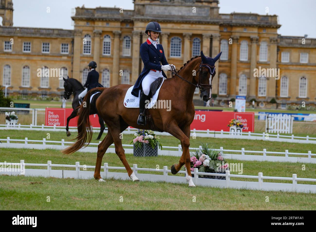 Blenheim Palace, Oxfordshire, UK.giovedì 14 ottobre 2023. Il giorno di apertura delle prove ippiche internazionali di Blenheim Palace è iniziato con Dressage. Dressage era un'idea militare per produrre supporti obbedienti, flessibili e reattivi che sarebbero stati migliori in battaglia. L'evento vedrà quattro giorni di eventi, tra cui Dressage, Cross Country e Showjumping, che si svolgono tutti nel Blenheim Palace. Crediti: Ian Tennant / Alamy Live News. Foto Stock