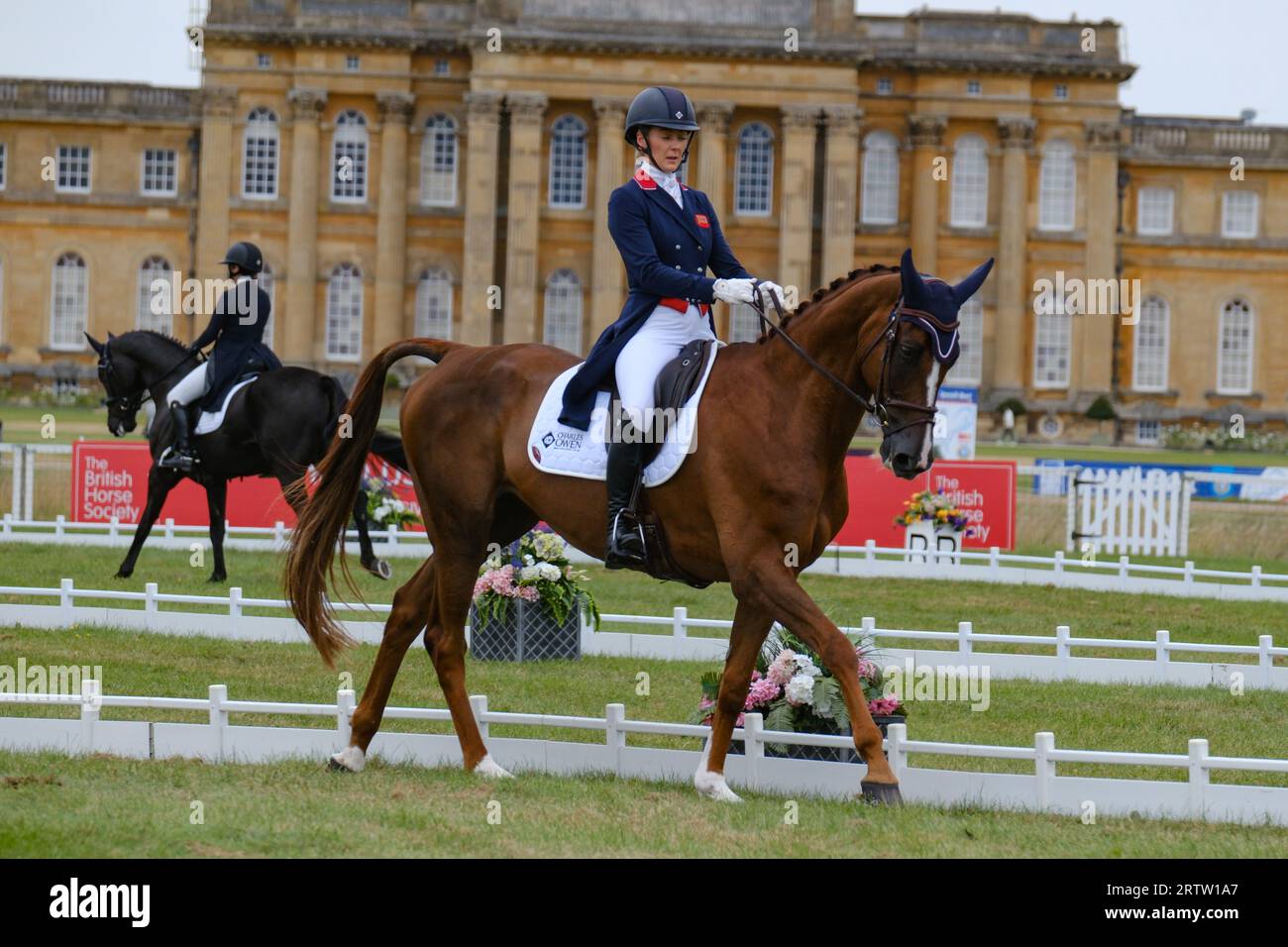Blenheim Palace, Oxfordshire, UK.giovedì 14 ottobre 2023. Il giorno di apertura delle prove ippiche internazionali di Blenheim Palace è iniziato con Dressage. Dressage era un'idea militare per produrre supporti obbedienti, flessibili e reattivi che sarebbero stati migliori in battaglia. L'evento vedrà quattro giorni di eventi, tra cui Dressage, Cross Country e Showjumping, che si svolgono tutti nel Blenheim Palace. Crediti: Ian Tennant / Alamy Live News. Foto Stock