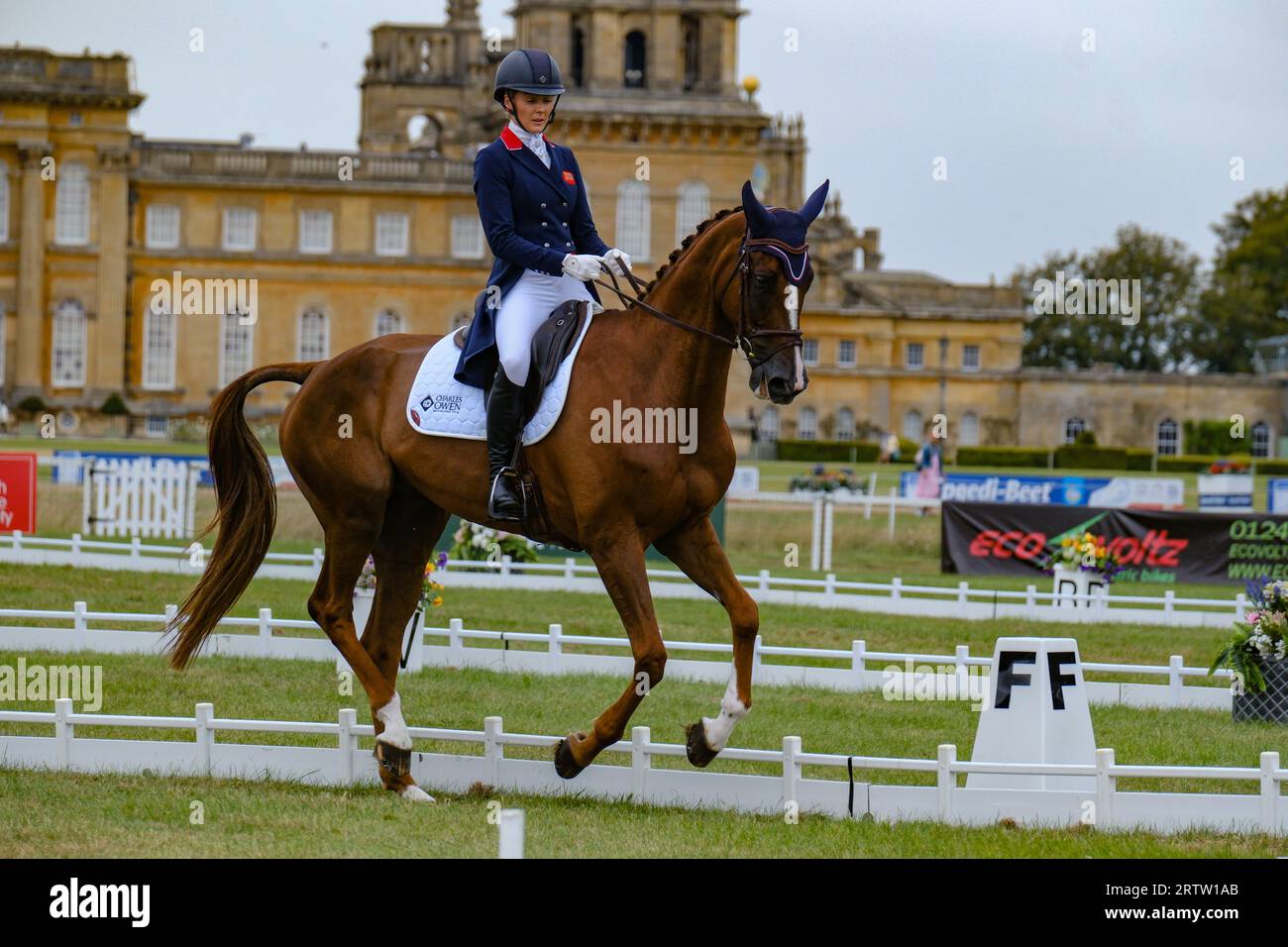 Blenheim Palace, Oxfordshire, UK.giovedì 14 ottobre 2023. Il giorno di apertura delle prove ippiche internazionali di Blenheim Palace è iniziato con Dressage. Dressage era un'idea militare per produrre supporti obbedienti, flessibili e reattivi che sarebbero stati migliori in battaglia. L'evento vedrà quattro giorni di eventi, tra cui Dressage, Cross Country e Showjumping, che si svolgono tutti nel Blenheim Palace. Credito: Ian Tennant /Alamy Live News.ff Foto Stock