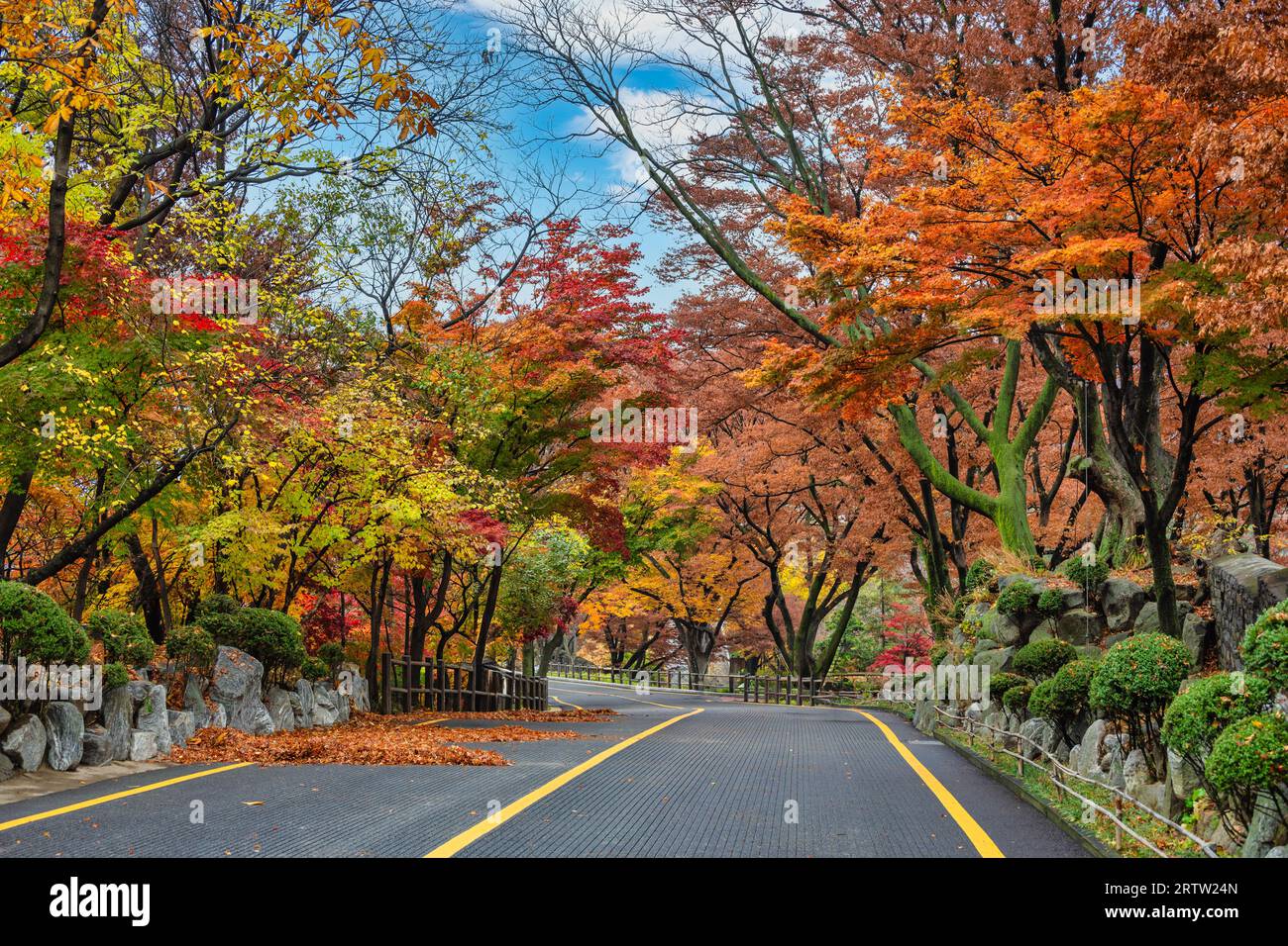 Seoul, Corea del Sud, skyline cittadino sulla strada per Namsan Mountain in autunno Foto Stock
