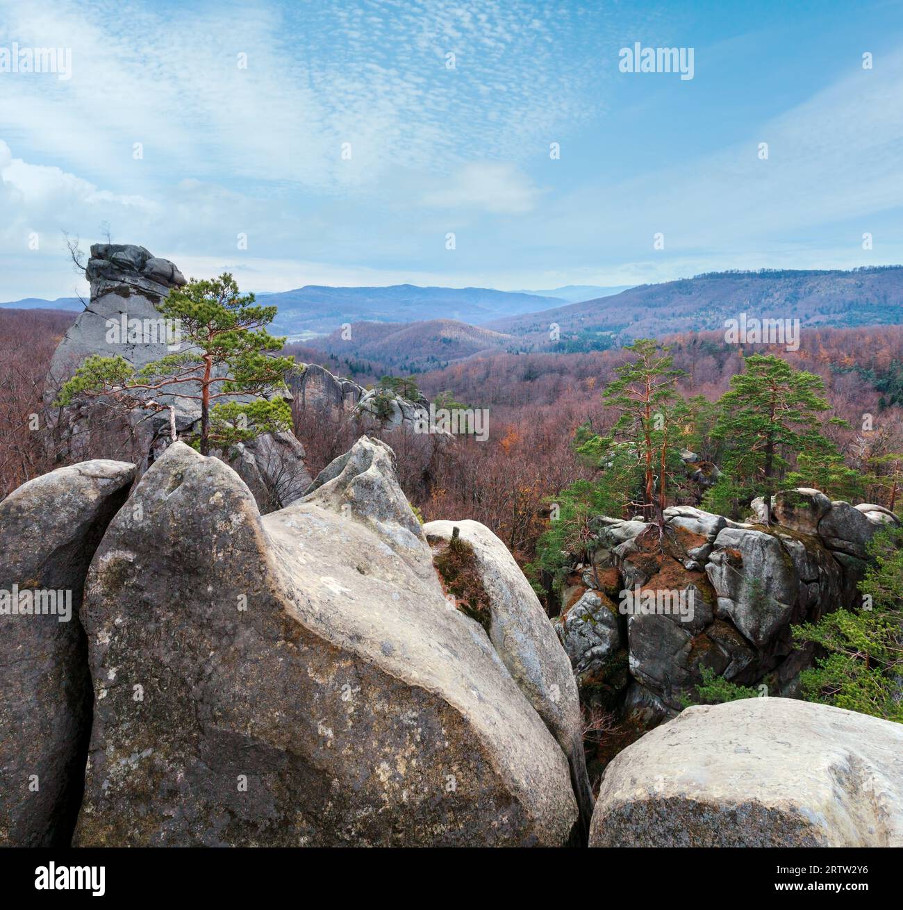 Grandi pietre alte nella foresta autunnale (Skeli Dovbusha , regione Ivano-Frankivsk, Ucraina) Foto Stock