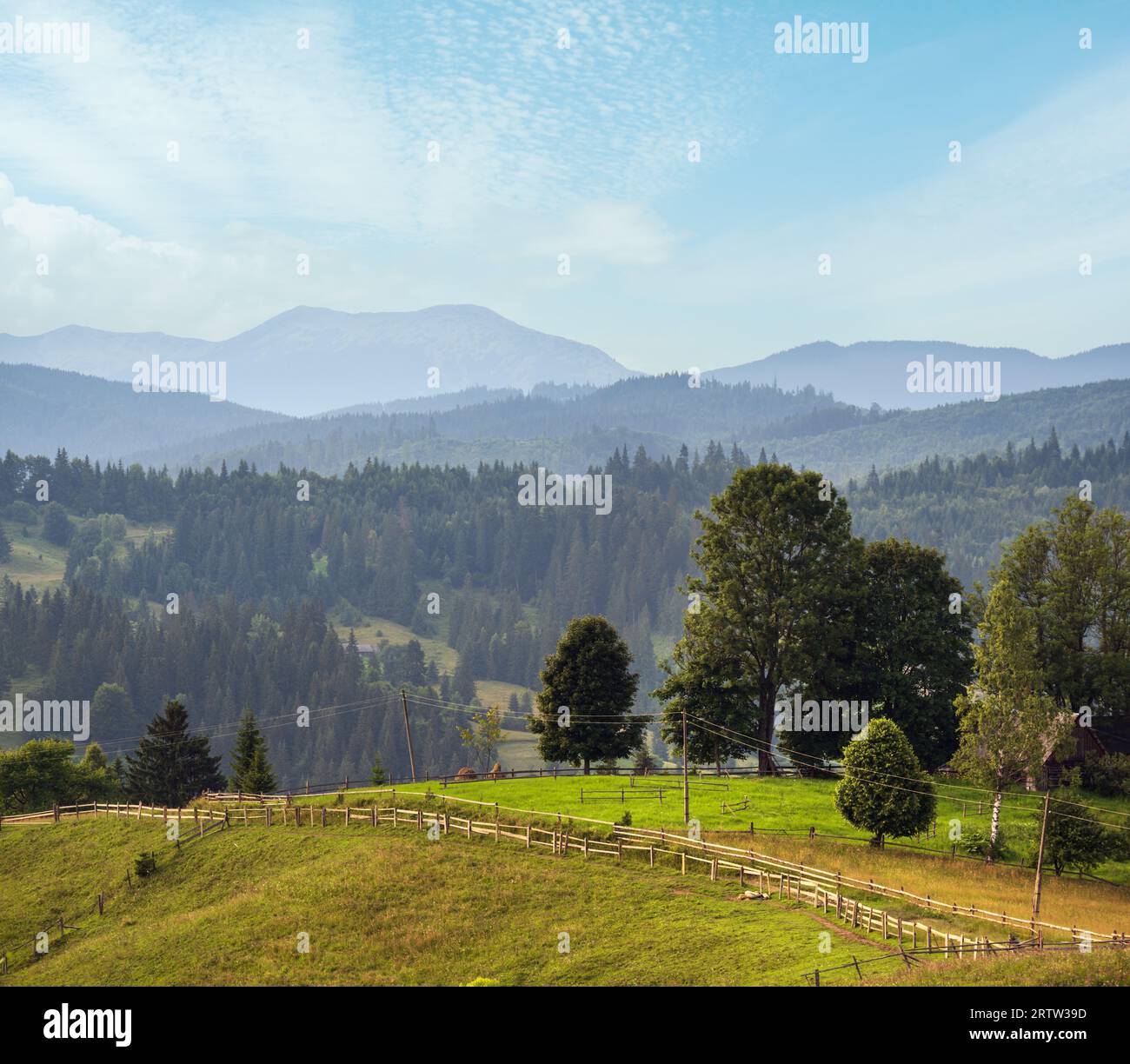 Pittoresca estate Carpazi montagna vista campagna, Ucraina Foto Stock