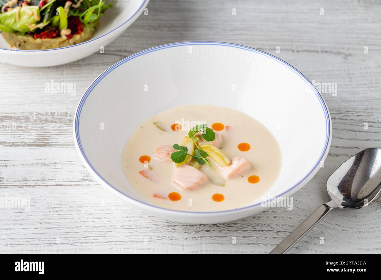 Zuppa di salmone su un piatto di porcellana bianca con insalata a lato Foto Stock
