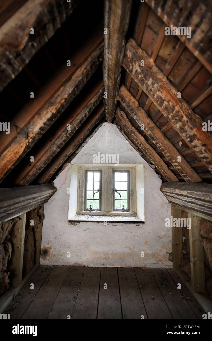 Vecchio battente dell'attico, Regno Unito. Foto Stock