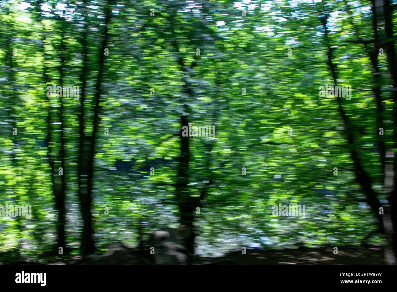 Vista impressionista degli alberi lungo il fiume Wear nella contea di Durham in tarda estate Foto Stock