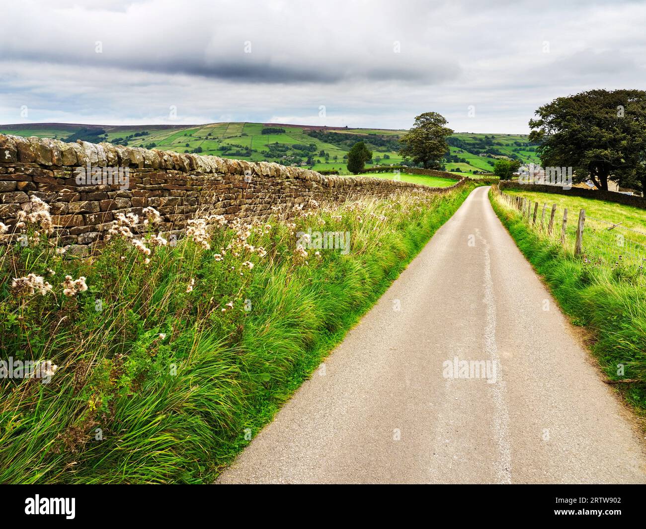 La Nidderdale Way si dirige lungo la corsia verso Bewerley vicino a Ladies Riggs Nidderdale AONB North Yorkshire Inghilterra Foto Stock