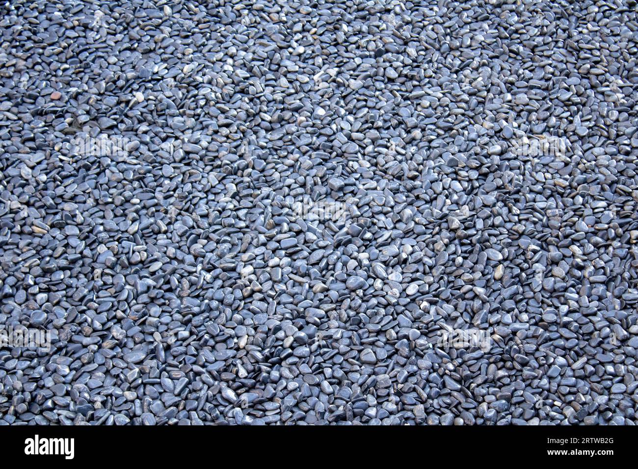 sfreccia lo sfondo della carta da parati Foto Stock