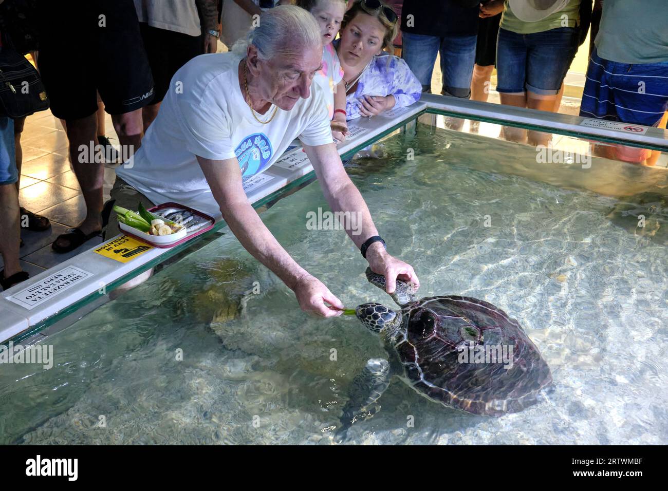 Dare da mangiare alle tartarughe cieche all'Aquaworld Aquarium & Reptile Rescue Centre, Filikis Etirias 7, Chersonisos 700 14, Grecia Foto Stock