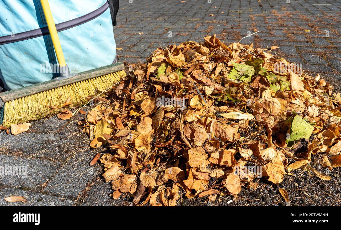 Foglie di autunno sul terreno Foto Stock