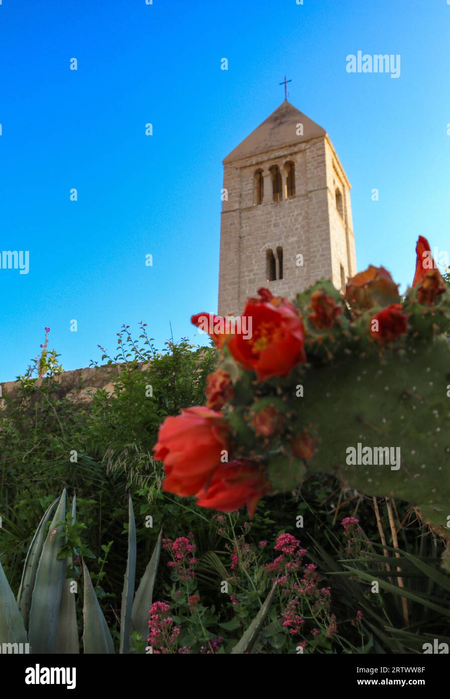 Vista dei campanili e delle torri sull'isola di Rab in Croazia Foto Stock