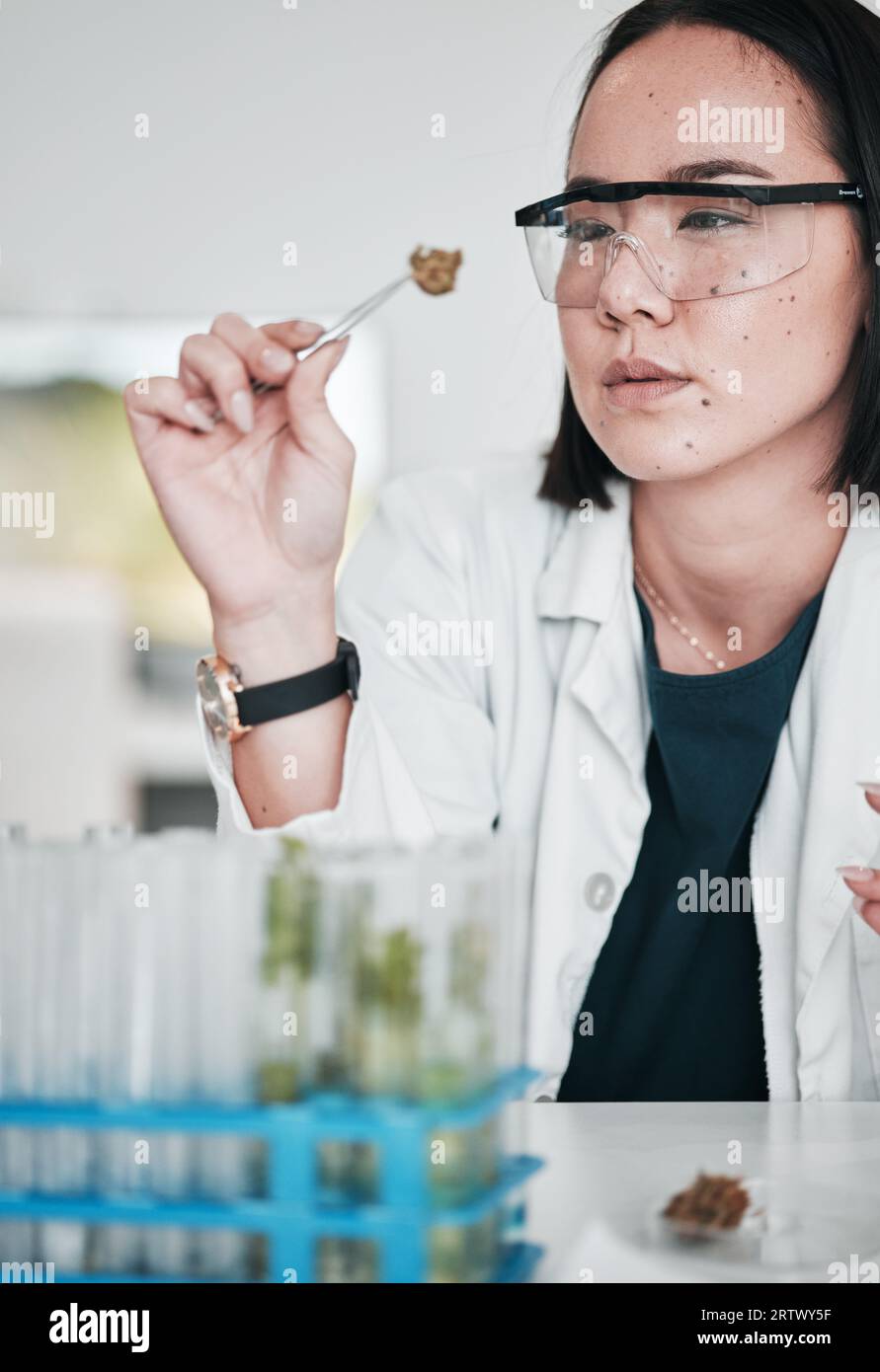 Scienza, campione vegetale e donna asiatica in laboratorio per analisi, ricerca medica e studio. Orticoltura, farmaceutica e scienziato con piante Foto Stock
