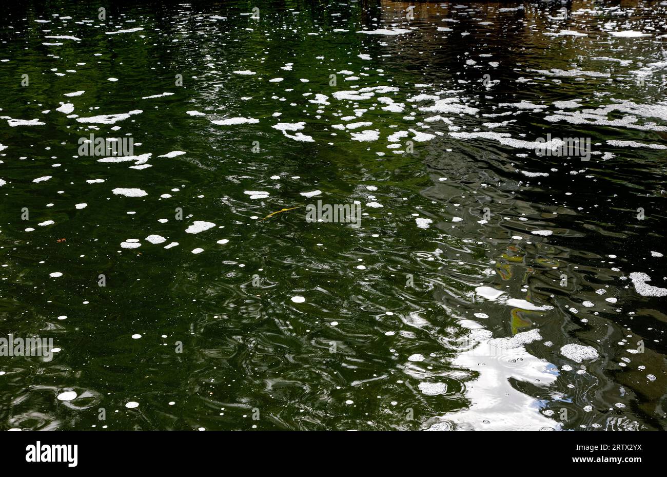 Fiume Waveney Foto Stock
