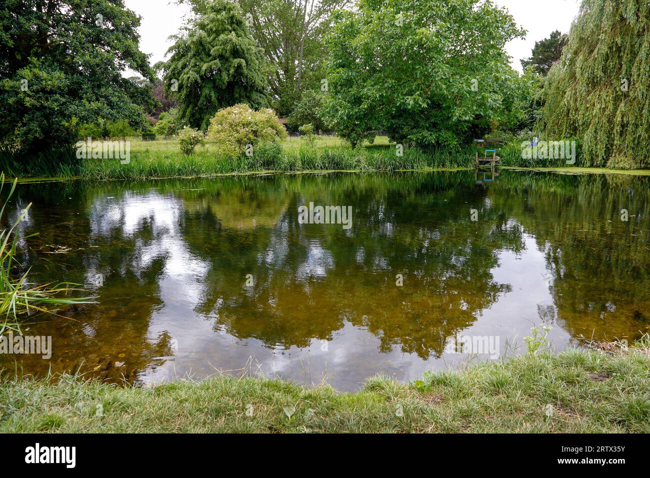 Fiume Waveney Foto Stock