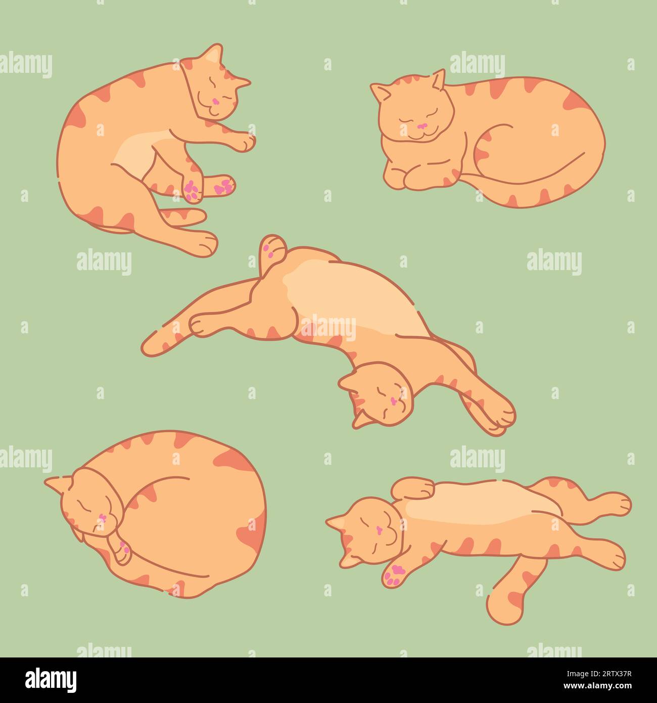 Gatto zenzero dormiente in diverse posizioni. Un gatto rosso carino dorme. Set di gatti sonnolenti. Illustrazione vettoriale Illustrazione Vettoriale