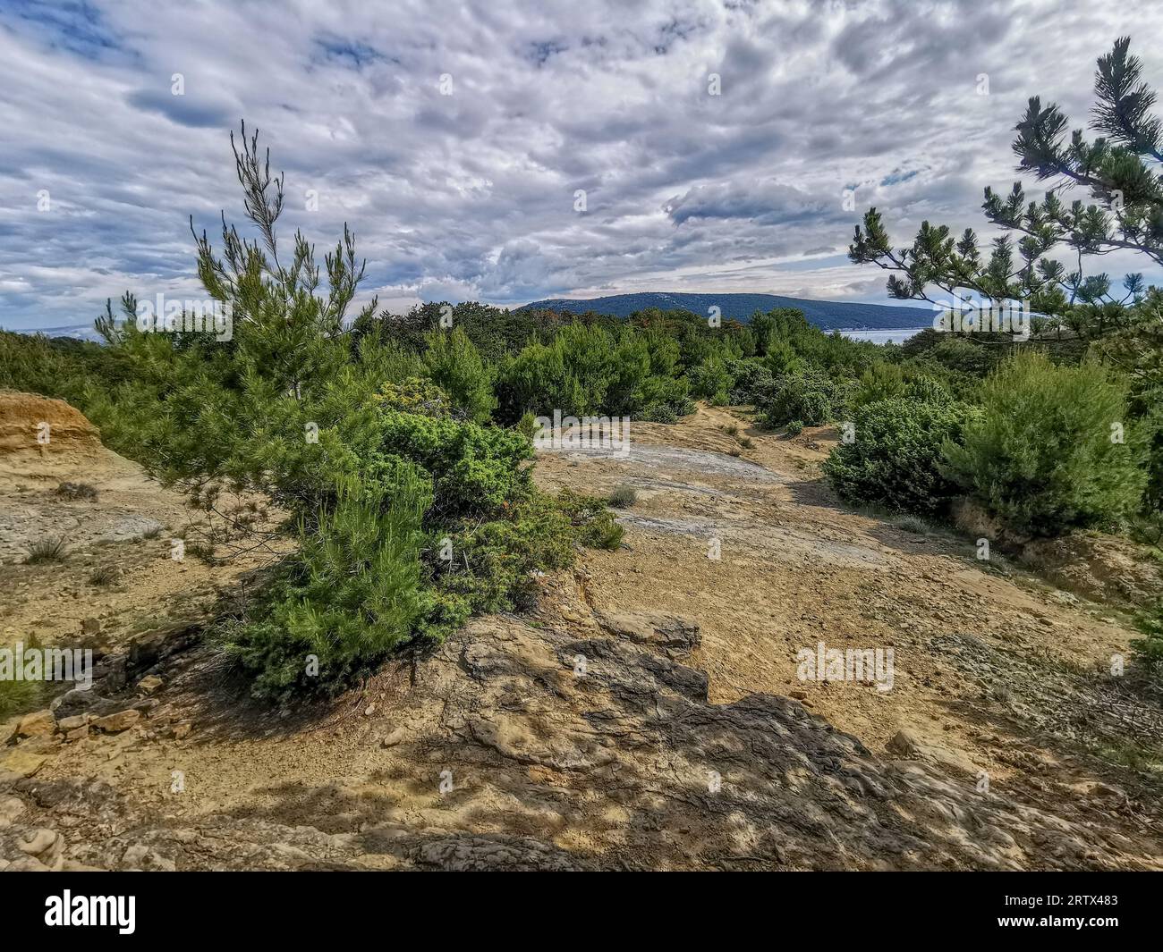 Cespugli verdi sulla strada sassosa per la spiaggia dell'isola di Rab in Croazia Foto Stock
