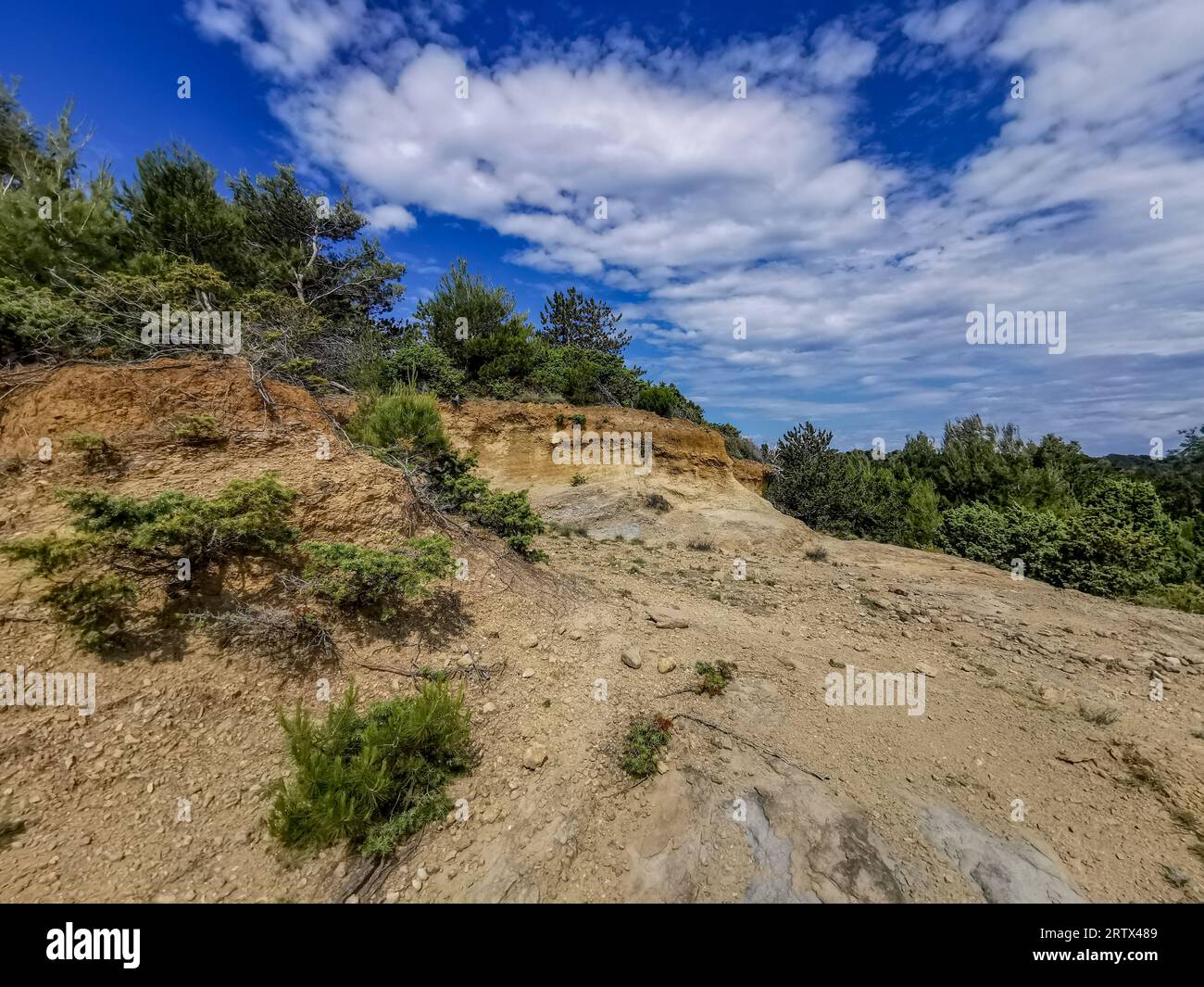 Cespugli verdi sulla strada sassosa per la spiaggia dell'isola di Rab in Croazia Foto Stock
