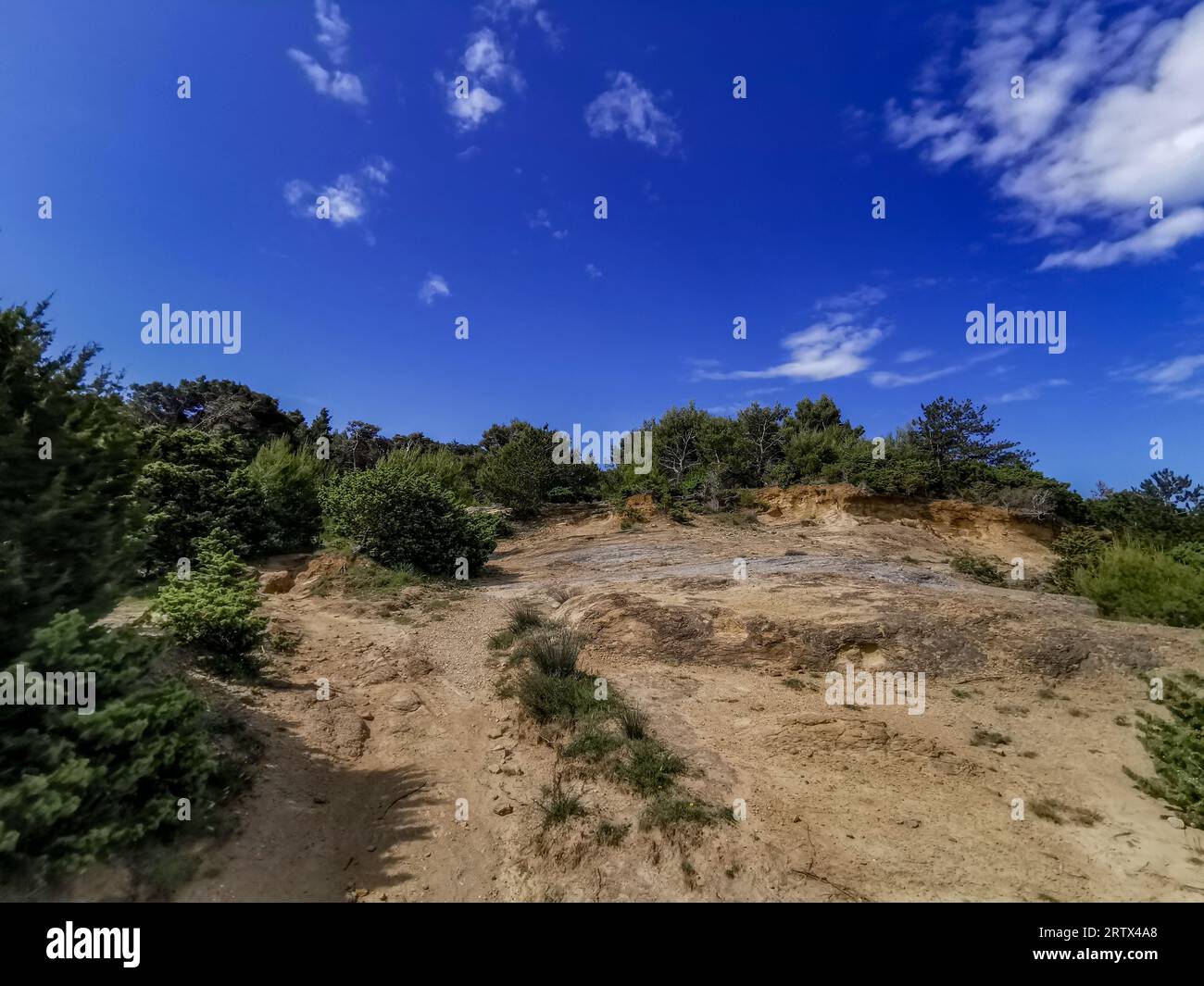 Cespugli verdi sulla strada sassosa per la spiaggia dell'isola di Rab in Croazia Foto Stock