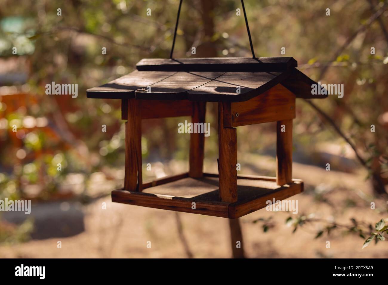 alimentatore per uccelli oggetto in legno per semi appesi a un ramo di albero su sfondo verde non concentrato del parco naturale Foto Stock