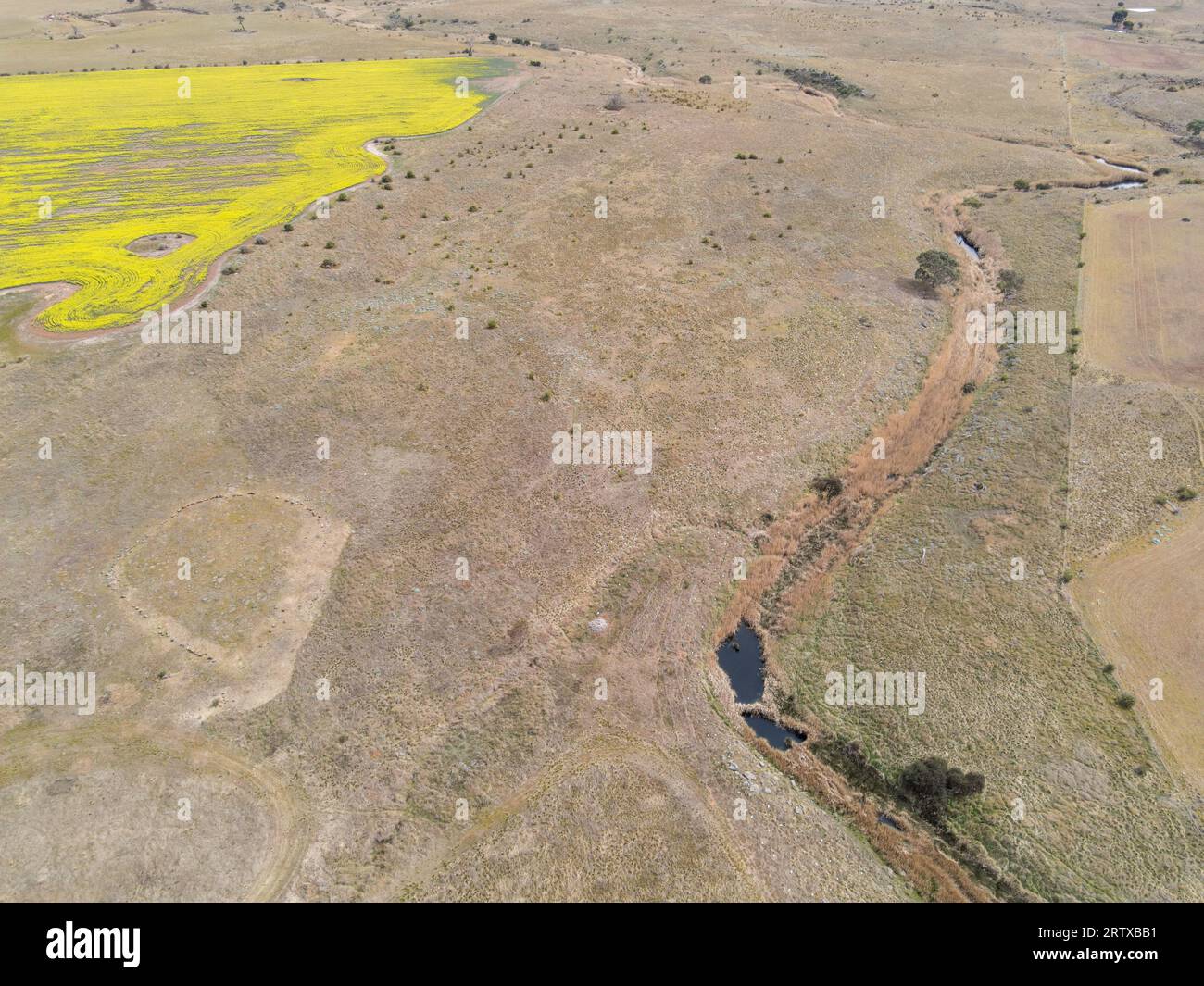 Wurdi Youang Aboriginal Stone Arrangement, Australia. Le posizioni astronomicamente significative allineate sono vecchie di Stonehenge e Piramidi Foto Stock