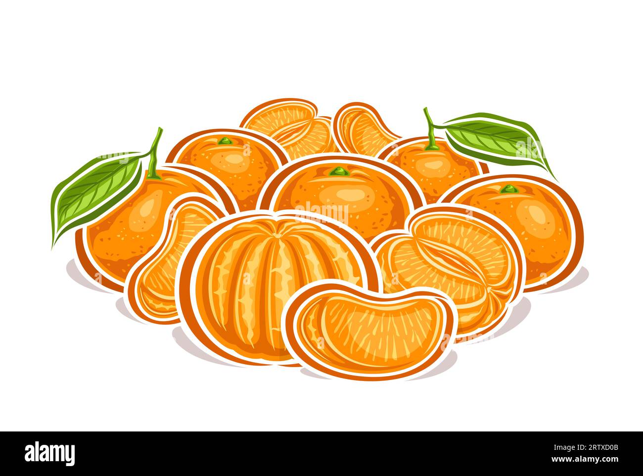 Logo vettoriale per mandarini, poster decorativo orizzontale con disegno cartoni animati composizione STILL Life fruttata mandarino e mandarino, stampa frutta con OMS Illustrazione Vettoriale