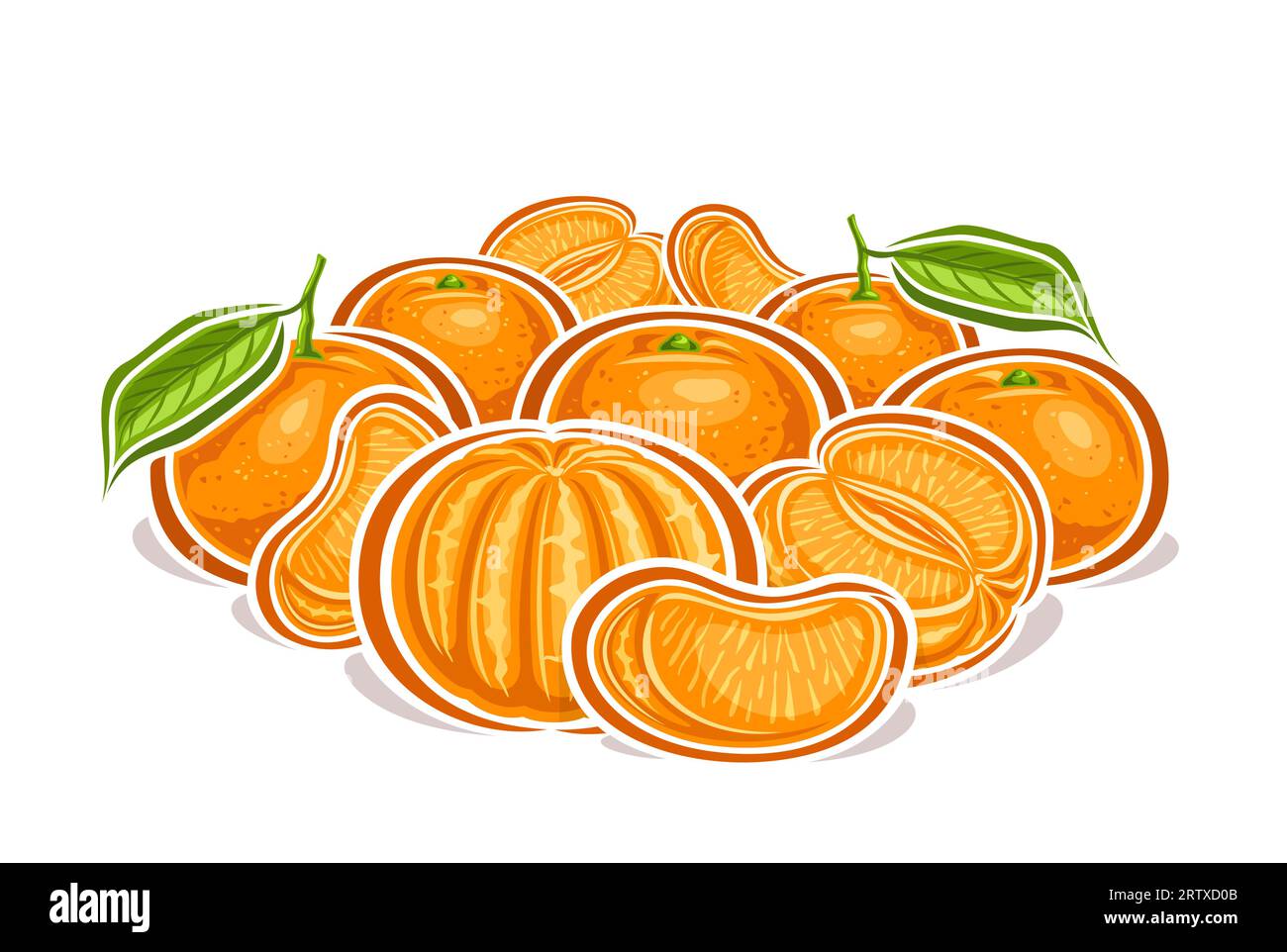 Logo vettoriale per mandarini, poster decorativo orizzontale con disegno cartoni animati composizione STILL Life fruttata mandarino e mandarino, stampa frutta con OMS Illustrazione Vettoriale