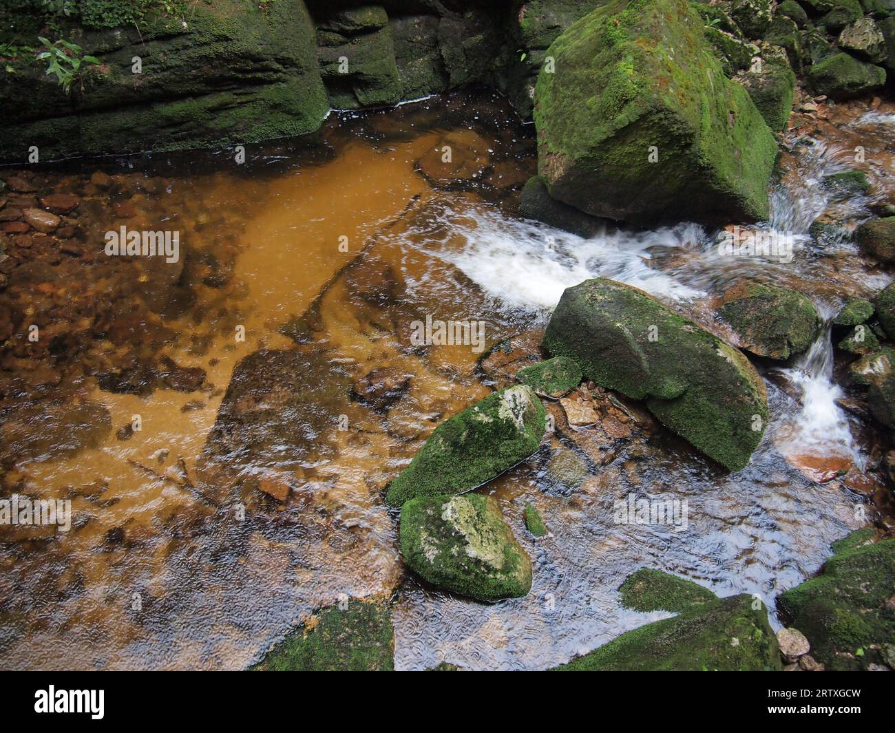 Cascata di Kamieńczyk nel Parco Nazionale di Karkonosze (Monti Karkonosze, Monti Sudeti, Voivodato della bassa Slesia, Repubblica di Polonia) Foto Stock