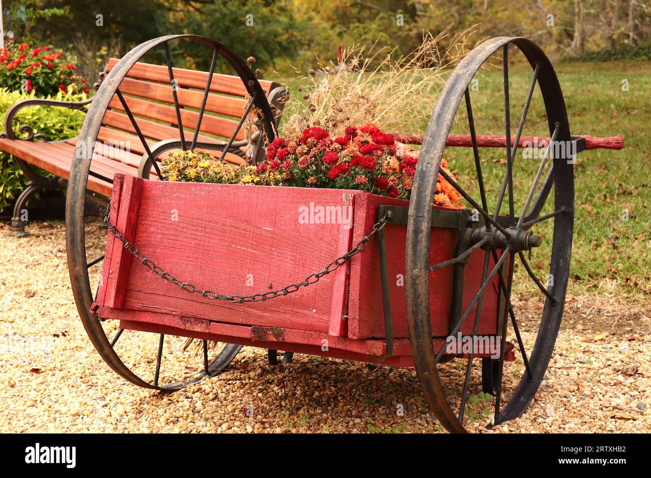 Piantatrice Red Vintage Wheelbarrow Foto Stock